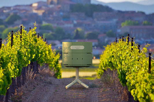 Barbecue charbon marcel vert réséda dans vignoble vue sur château - image recadrée agrandie horizontalement