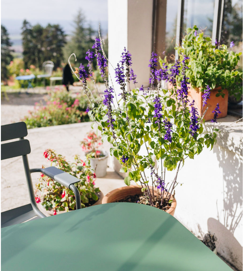 Des plantes fleuries et herbes aromatiques sur une terrasse 