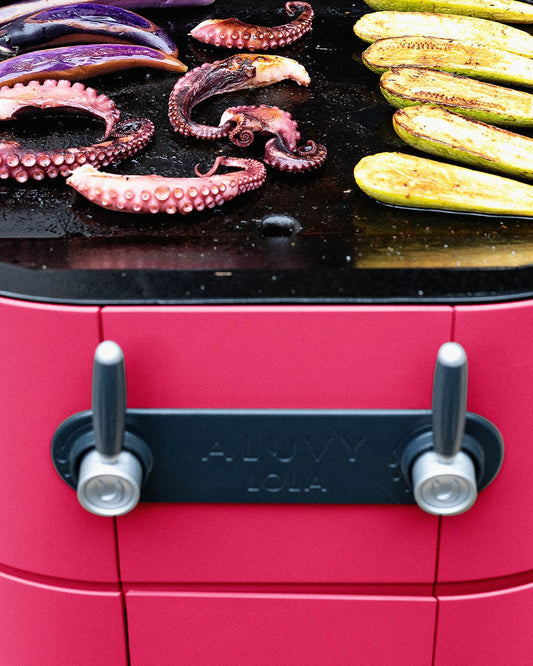 X conseils pour cuisiner à la plancha en extérieur en toute sécurité