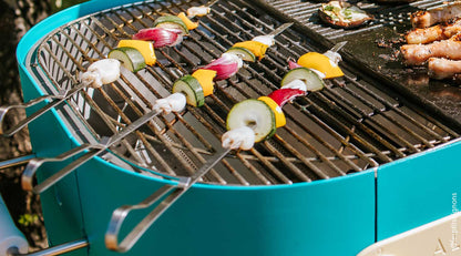 légumes sur pics à brochettes aluvy sur barbecue design bleu aquasplash